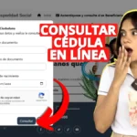 Consultar la Renta Ciudadana - La Krítca