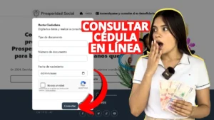 Consultar la Renta Ciudadana - La Krítca
