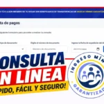 consultar si es beneficiario del Ingreso Mínimo Garantizado