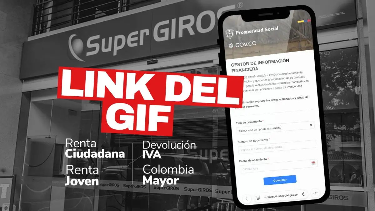 Gestor de Información Financiera - GIF